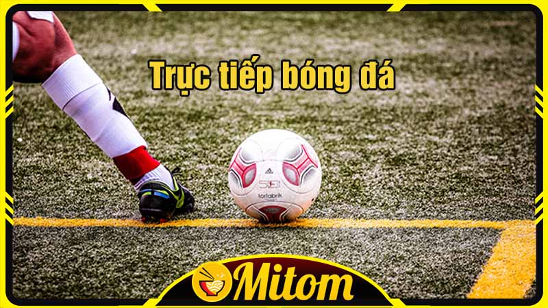 Mitom TV - Website xem bóng đá trực tuyến chất lượng cao