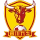 Logo Shenzhen Peng City FC